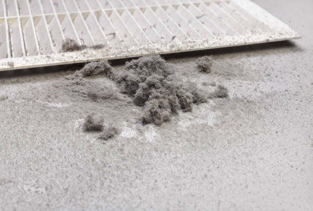 Best HVAC System Cleaning  in Milford Mill, MD